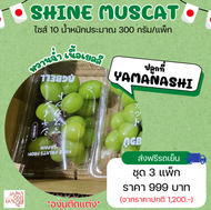 Shine muscat grape (ตัดแต่ง) size 10 ชุด 3 แพ็ก ไชน์มัสคัส ไชน์มัสแคท องุ่นญี่ปุ่น