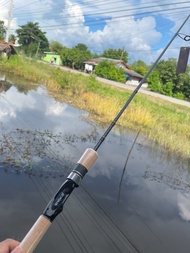 คันเบท+สปินนิ่ง RYOKO AJING TROUT