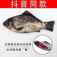 Funny Simulation Fish Pencil Case Crucian Carp Salted Junior High School Stationery Bag Box 2G3X