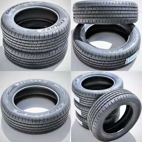 Capricorn HP All-Season Passenger Car Performance Radial Tire-205/60R16 205/60/16 205/60-16 92H Load