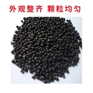 Wholesale Green Asparagus Seeds Farmland Vegetable Garden Years Old Taste Crispy Planting Easy Aspar