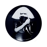 Lady Gaga - The Fame Monster (Picture Disc) vinyl