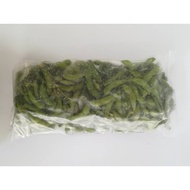 Edatsuki Edamame 1kg Frozen Boiled Green Soybean (SM38)