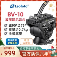 Leofoto/Leofoto BV-10/BV-10M Professional Bird Watching Camera Mirrorless Camera SLR Camera Camera Hydraulic Cloud Platform