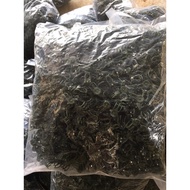 100 butterfly clips used to clip tree branches and orchid branches