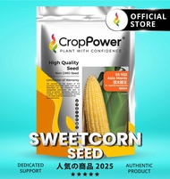 Hot Item🔥 (500 GRAM) Biji Benih Jagung Manis Asia Manis 亚太甜王 SS932 CROP POWER Sweetcorn Seed  甜玉米种子 