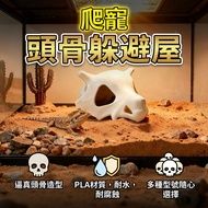 Climbing Pet Hide House Gecko Hide House Fish Tank Landscaping Decoration Lizard Maned Lion Reptile 