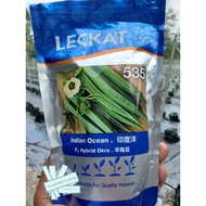 Benih Bendi buah lebat komersial Leckat 535 Indian Ocean (repack) 10biji /20 biji/50 biji