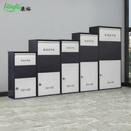 DANBIYIN | Secure Outdoor Parcel Box