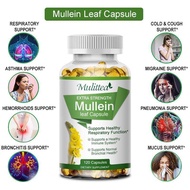 Extra Strength Mullein Leaf(60Cps)-สมุนไพรใบมัลลีน ทำความสะอาดระบบทางเดินหายใจและปอด สุขภาพหลอดลม ดี