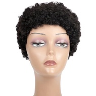 New Hair African Wigs With Small Curly Hair Womens Short Curly Hair Mechanism Elastic Net Real Hair