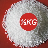 500G Calcinit Calcium Nitrate Norgessalpeter Norwegian saltpeter CaO 26% Nitrate N 15.5% Fertigasi H