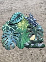 BLR 觀葉植物 造型萬用墊 泰斑龜 華麗花燭 草莓之星 彩葉芋