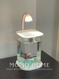 【高清玻璃】桌面迷你魚缸，觀賞無死角，盡享海底美景，LED灯光，營造夢幻海底氛圍