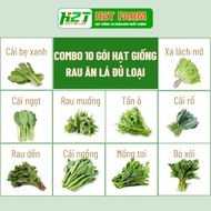 Combo 10 Gói Hạt Giống Rau Ăn Lá Nhiều Loại Dễ Trồng Trồng Chậu Nảy Nằm Tốt- H2T FARM