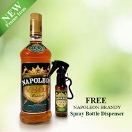 Napoleon Brandy VSOP Regular 750ml with Free Spray Bottle Dispenser