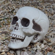 Haunted House Scary Ghost Artificial Skull Head Halloween Decoration Party Props