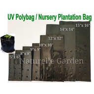 1pc Polybag Polibeg Hitam Nursery Plantation UV Polybag Tanah Tanaman Soil Kebun Benih Sayur Pokok Bunga Flower Plant