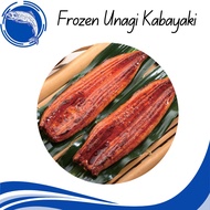 Frozen Unagi Kabayaki / Frozen Roasted EEL / 鳗鱼