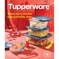Tupperware Glass Rectangular Collection / Food Storage Container  - 400 ml / 650ml / 1L / 1.5 L