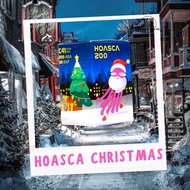 Hoasca 200christmas Edition ฟิล์มม้วน 35 มม. Iso200 36Exp