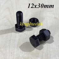 05 SET - 12x30mm BLACK STEEL BULONG - 12mm BLACK STEEL BULON 8.8 (BULON + CANOPY)