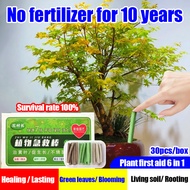 No fertilizer for 10 years Plants Fertilizer Stick flower fertilizer 30pcs/box Plant first aid 6 in 
