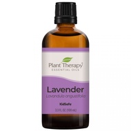 Plant Therapy Lavender Essential Oil 100ml/PLANT THERAPY