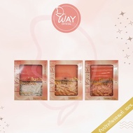 Sivanna Colors HighLight Blush Palette 10g Cevenna Diamond 10g