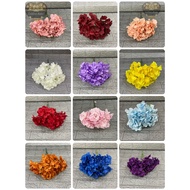🇲🇾Bunga Hydrangea 5bush 135 Flower Big Bush Premium Quality Bush Besar Bunga Hydrangea Jenis Bush Be