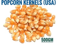 USA Popcorn Seed/ Kernels 爆米花仁 Biji Popcorn 500GM