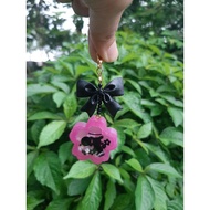 PERSONALISED PHONE KEYCHAIN/STRAP/KEYCHAIN