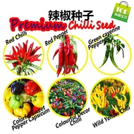 Chilli seed chilli seed/pepper seed/sweet capsicum/green cayenne pepper seed decoration chilli seed