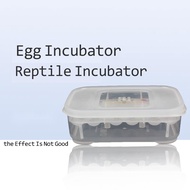 Orange Orange Aquarium Decoration Essories Egg Incubator Professional Palace Snake Lizard Climbing Pet Hatching Reptile Hatching Terrarium