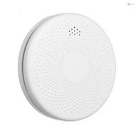 Carbon Monooxide Carbon Monoxide 2 -in- Bedroom Room Battery Operated Alarm Combination Alarm Sound 