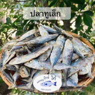 ปลาทูเล็กตากแห้ง (ครึ่งกิโลกรัม 65 บาท)