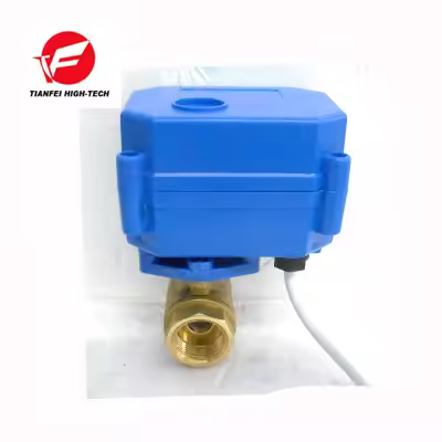 TF DC3.6-6v,DC12V DN8,DN10,DN15,DN20 CR01 CR02 CWX-15Q 1.5nm 3s brass NPT BSP reduced bore female-fe