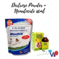 Pet Wellness Combo Dextrose Powder 100grams + Nematocide 60ml for pets