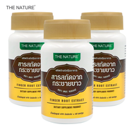 สารสกัดจากกระชายขาว X 3 ขวด กระชายขาว Finger Root Extract The Nature เดอะ เนเจอร์ บรรจุ 60 แคปซูล