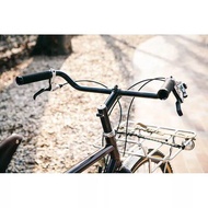 Stang Sepeda Cruiser Moustache Bar Porteur Promenade Handlebar