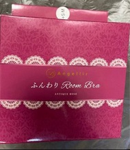 Angellir Bra 美胸衣 塑身內衣 Night Room Bra