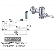 d'bathnor Econax Johnson Bareno Akron Doe Ezyflik Daelim San Ei Toto Aimer exposed manual wc flush v