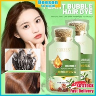 ⭐️SG STOCK⭐️ Natural Plant Bubble Hair Dye Shampoo For Grey Hair Coverage, Black Hair Dye, Hair Colo