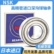 NSK Imported 6004/6005/6006/6204/6205/6206/6304/6305/6306ZZDDU Bearings