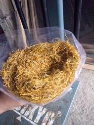 Daun Talas Beneng Kuning A. 300gr
