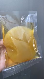 100g 優質高活性康普茶DIY包 Kombucha Scoby 紅茶菌📦SF快遞到付