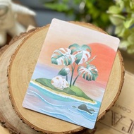 小花貓的白斑龜背芋小島 明信片