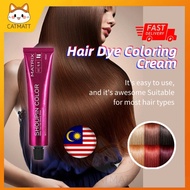 Full Set Tool Hair Dye + Free Peroxide Pewarna Rambut Hair Colouring Insty Hair 染发剂 流行色 2025 染发膏 奶茶灰