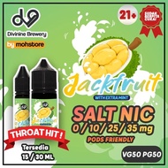 LIQUID VAPE DV9 NANGKA SUSU MINT SALT NIC POD FRIENDLY SALTNIC ERISE