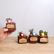 現貨-元寶小日仔多肉盆栽(4色) 可客製字牌 開幕招財離職生日禮物